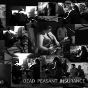 Dead Peasant Insurance