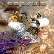 Synthesis of Reality Album Picture