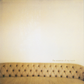 The Essence Of My Room