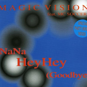 NaNa HeyHey (Goodbye)