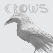Crows