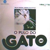 O Pulo do Gato