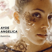 Slowly Burning Bridges by Ayoe Angelica