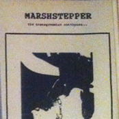 The Transgression Continues