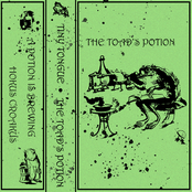 The Toad's Potion