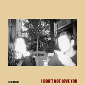 I Don't Not Love You