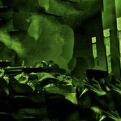 Drowning in the Swamp