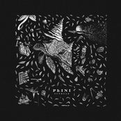 Plini: Sunhead