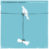 Second Skin by Widespread Panic