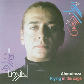 Parvaz Dar Ghafas