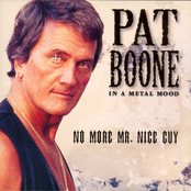 Love Hurts by Pat Boone