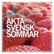 Äkta svensk sommar
