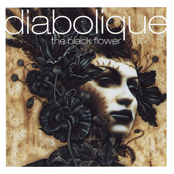 Morphine by Diabolique