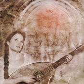 Das Laub Fallt Von Den Baumen