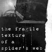 The Fragile Texture of A Spider's Web