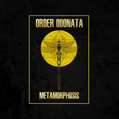 Order Odonata - Metamorphosis