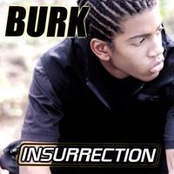 Insurrection