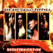 Love Rollercoaster by Red Hot Chili Peppers