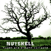 Hopes and Dreams Collapse