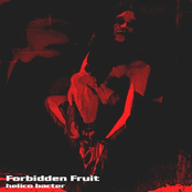 Forbidden Fruit