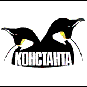 проект Константа