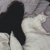 empty streets of sleep