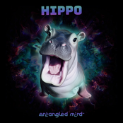 Hippo