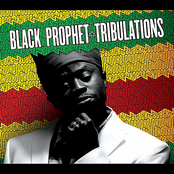 Tribulations