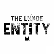 Entity