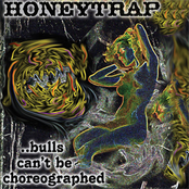 ...Bulls Can't Be Choreographed