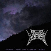 Songs From The SombreTrees