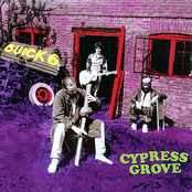 Buick 6: Cypress Grove