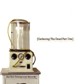 Gathering The Dead Part One