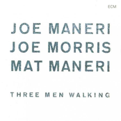 Three Men Walking