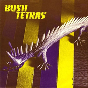 Bush Tetras: Too Many Creeps 7