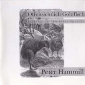 Die Tinte Verlischt by Peter Hammill
