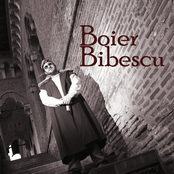 Boier Bibescu