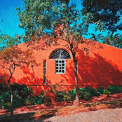 In Love With a Glitch