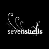 Seven Shells