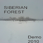 Siberian Forest