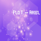 Ariel