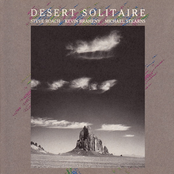 Desert Solitaire