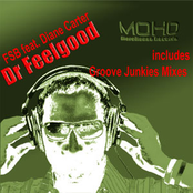 Groove Junkies feat. Diane Carter - "Dr. Feelgood"