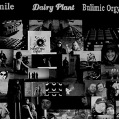 Dairy Plant LP