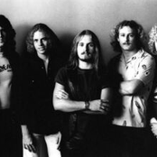 johnny van zant band