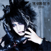 Live by The Sound Bee Hd