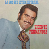 Parece Que Fue Ayer by Vicente Fernández