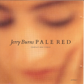 Perfect Moments by Jerry Burns