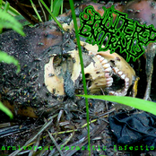 Carnivorous Parasitic Infection