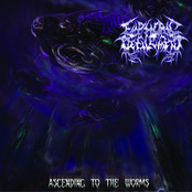 Rending Shades Of Deformity by Euphoric Defilement